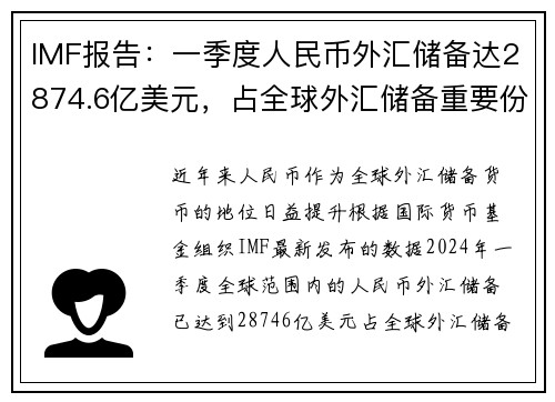 IMF报告：一季度人民币外汇储备达2874.6亿美元，占全球外汇储备重要份额